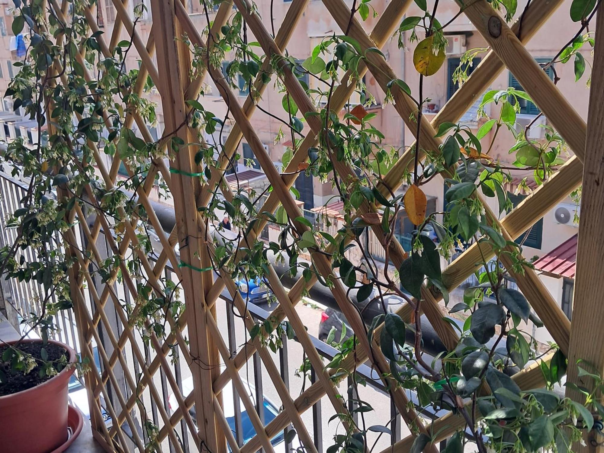 Appartamento Casa Zia Rosetta Palermo Esterno foto